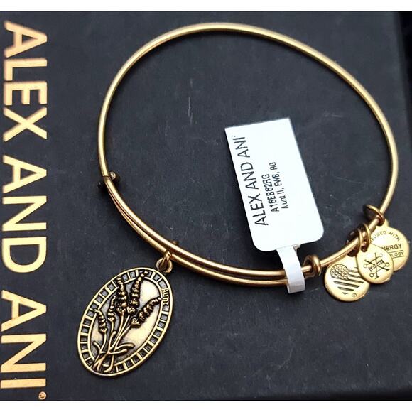 Alex And Ani Aunt Charm Bracelet - Picture 1 of 7
